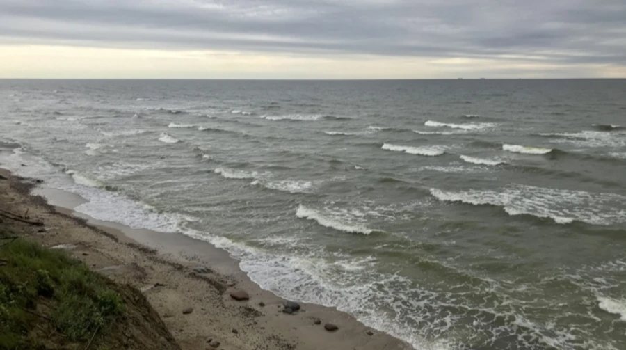 Країни Балтійського моря створять спільну групу для захисту від дронів