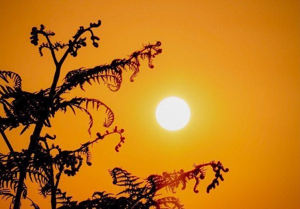 Україну накриває небезпечна стихія: спека до +37°C і загроза в Житомирі
